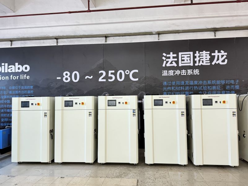 Forno de secagem a vácuo do Lab Companion